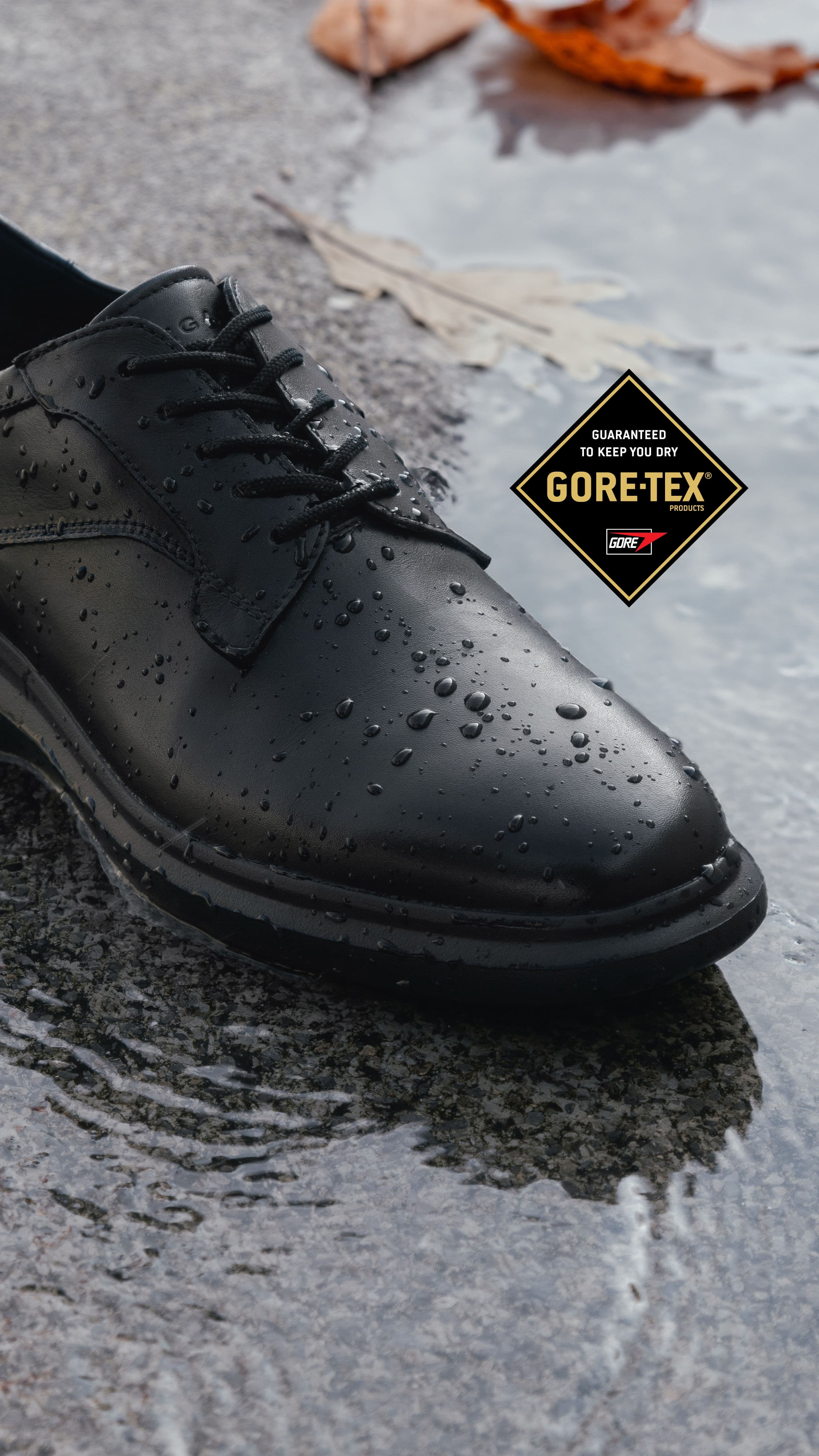Goretex IMG_7650.jpg